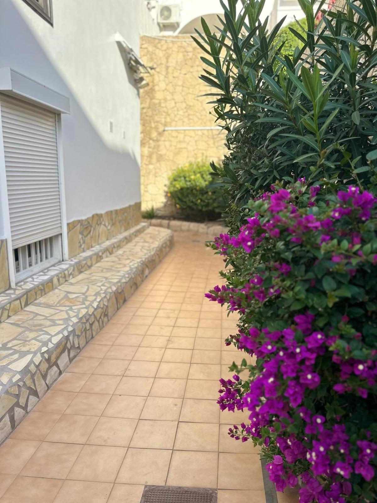 Sunny Sea View Apartment Center Of Las Americas Playa de las Americas  Exterior photo