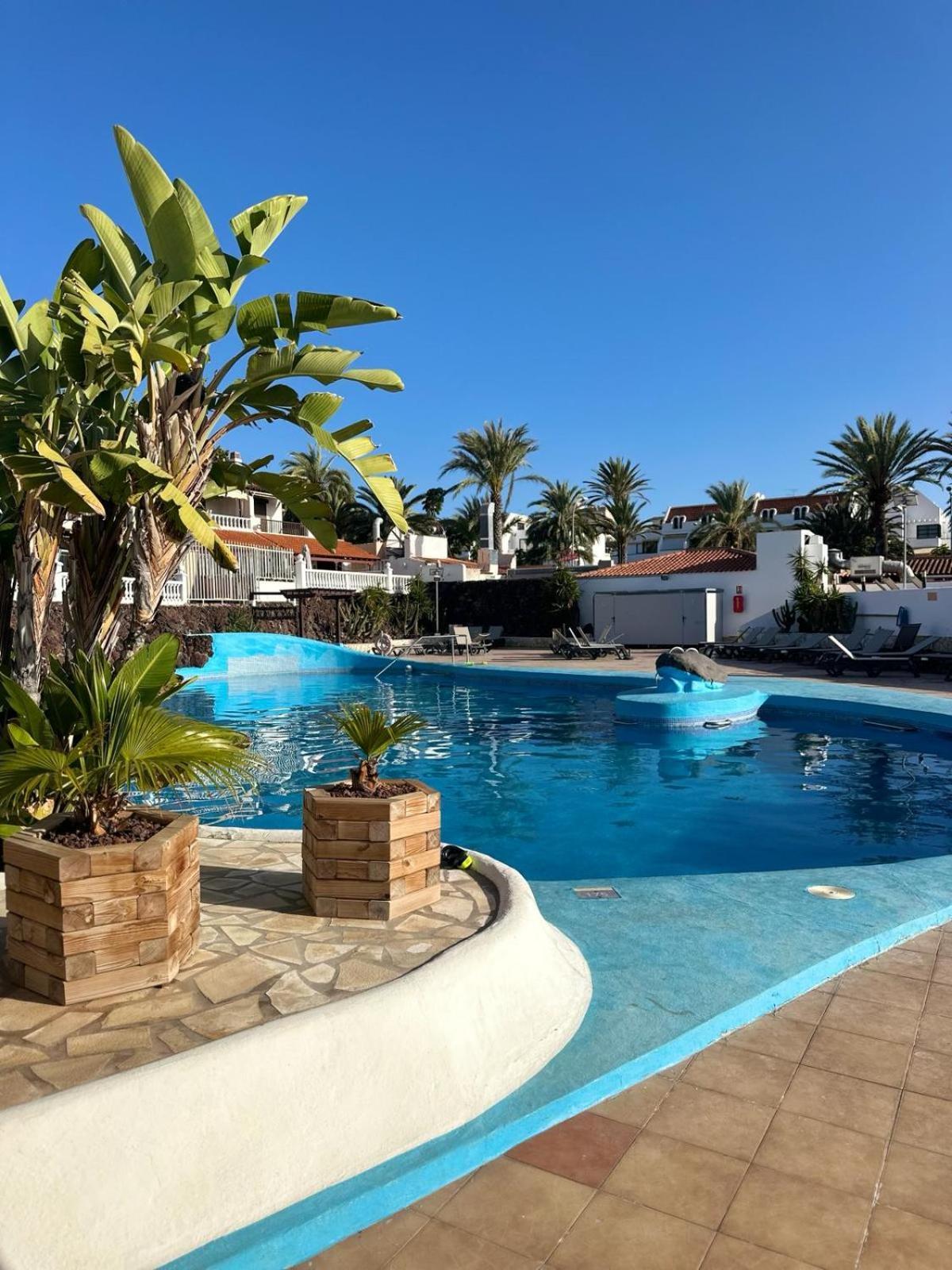 Sunny Sea View Apartment Center Of Las Americas Playa de las Americas  Exterior photo